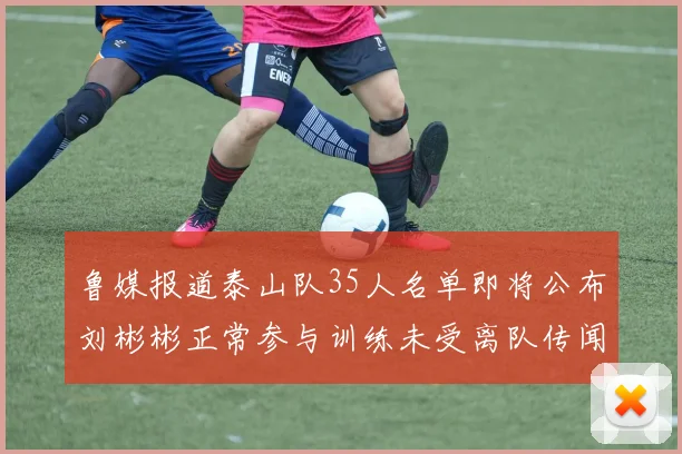 鲁媒报道泰山队35人名单即将公布刘彬彬正常参与训练未受离队传闻影响