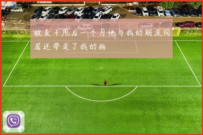 被麦卡甩后一个月他与我的朋友同居还带走了我的狗